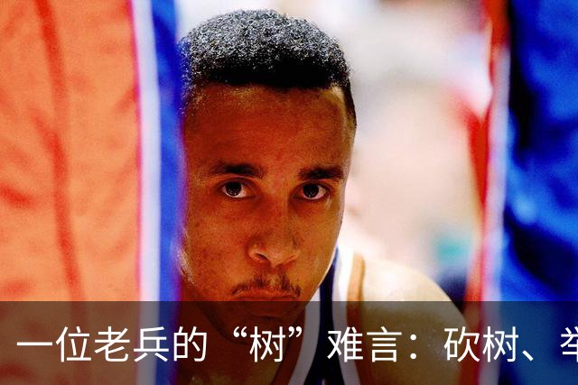 一位老兵的“树”难言：砍树、举报、被带走的荒唐经历